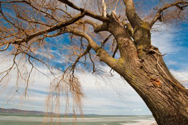 Kışın Balaton