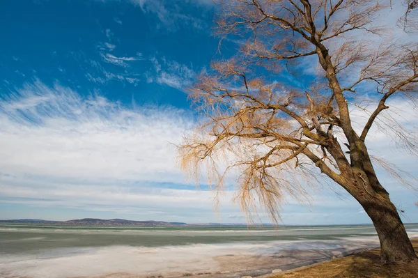 Kışın Balaton — Stok fotoğraf