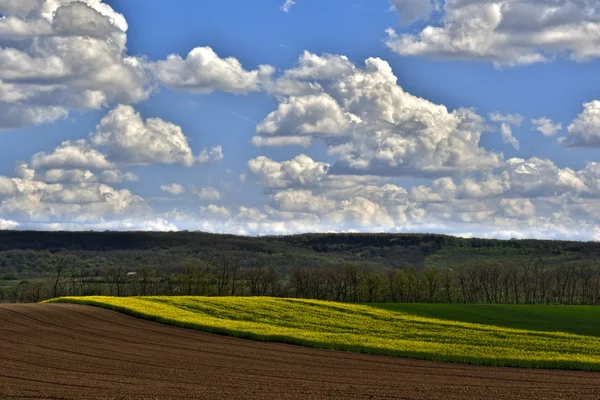 Agricultural Scene — Stock Photo, Image