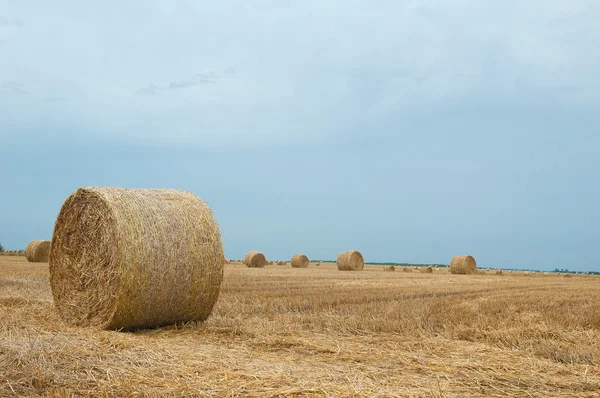 stock image Hay bales on a clear summers day