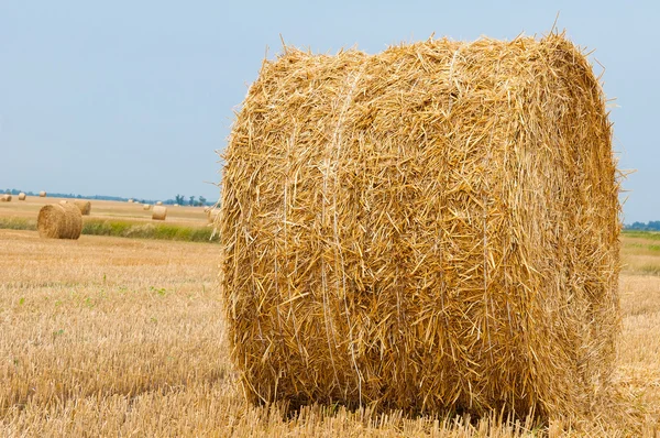 Hay bales on a clear summers day — Stock Photo, Image