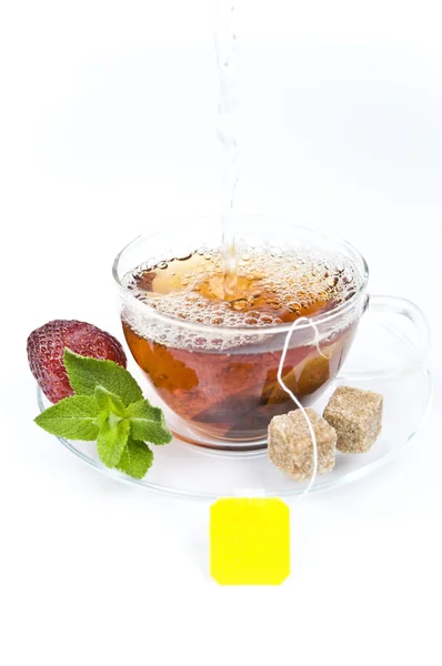 Egy csésze tea teafilterrel — Stock Fotó