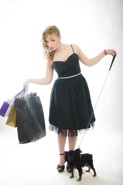 Young glamorous blonde with shopping bag holding toy terrier dogs holding dog — Stock Photo, Image