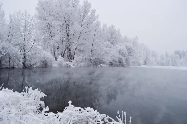 Winterhintergrund mit Bäumen, See und Schnee. — Stockfoto