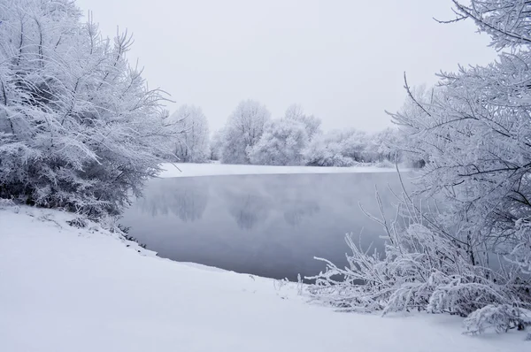 Winterhintergrund mit Bäumen, See und Schnee. — Stockfoto