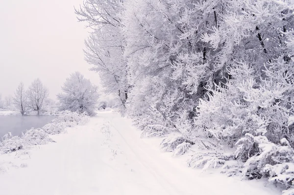 Winterhintergrund mit Bäumen im Schnee, Schnee und Wasser. — Stockfoto