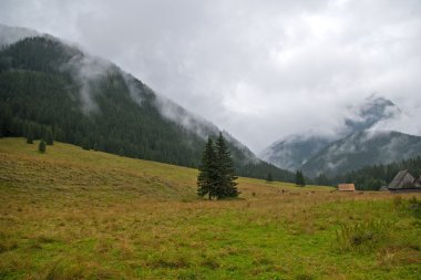 Dağ manzarası