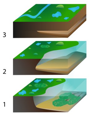 Peat formation clipart