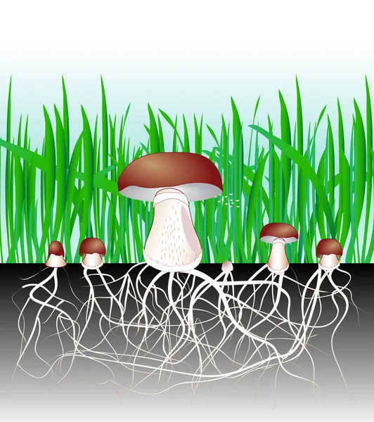 Setas y vegetación. Hongos de reproducción Micelio y esporas — Vector de stock