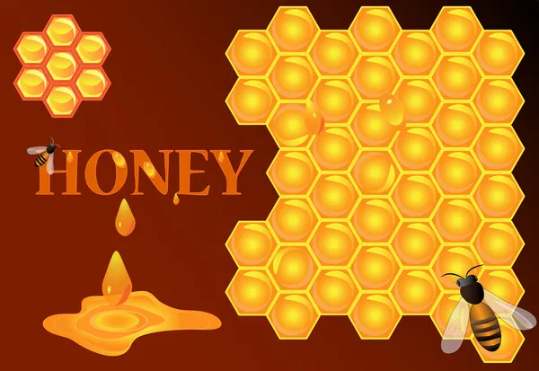 Illustration des fließenden Honigs auf Wabenhintergrund — Stockvektor