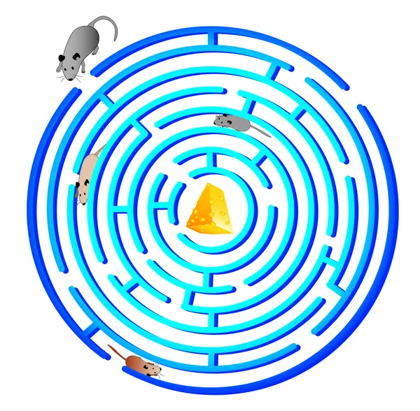 Ekorrhjulet. labyrint — Stock vektor