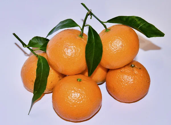 Tangerines aux feuilles vertes — Photo