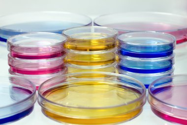 Petri dishes with colored fluids clipart