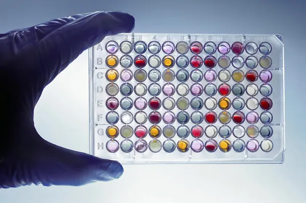 stock image A hand with a microplate