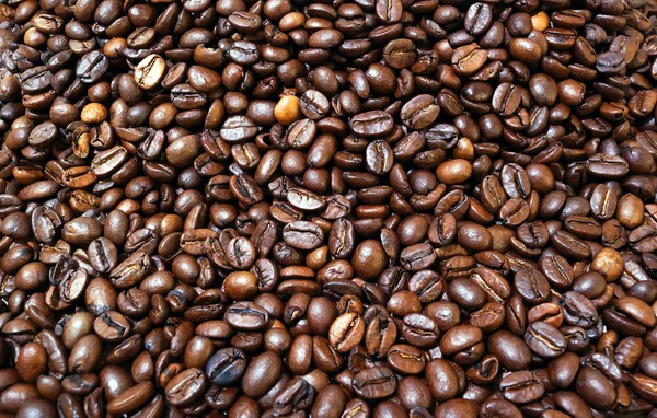 stock image Roadsted coffee beans