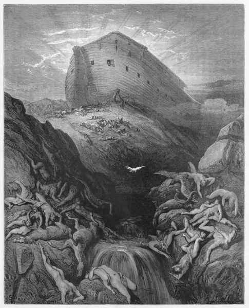 Duvan utsända från arken — Stockfoto