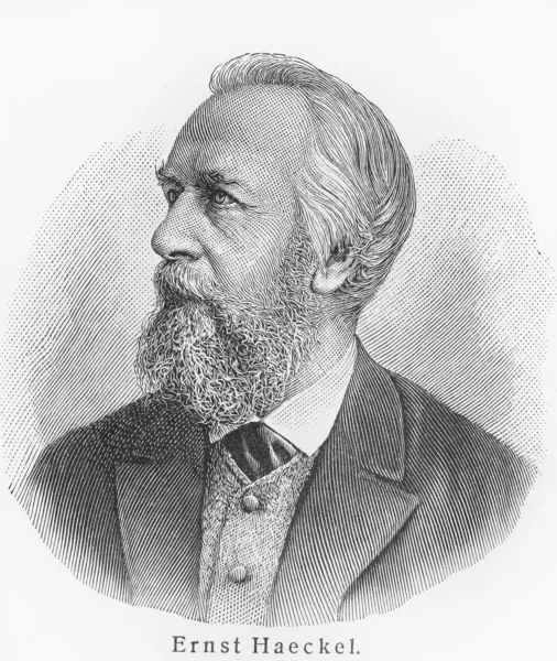 Ernst Haeckel — Zdjęcie stockowe