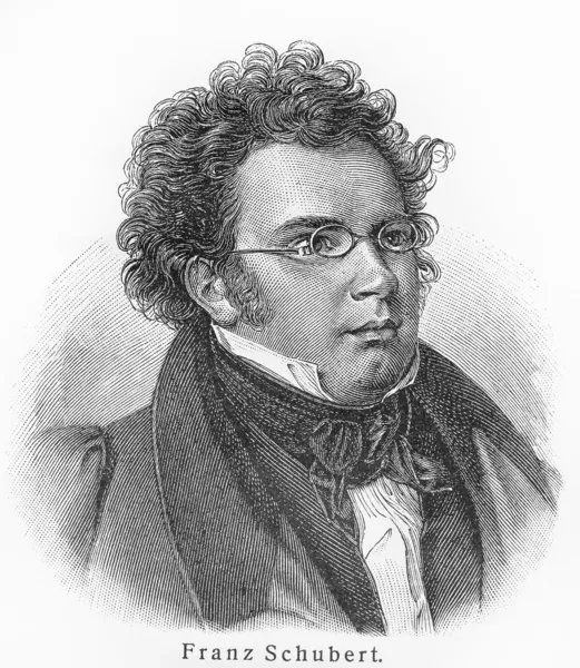 Franz Schubert lizenzfreie Stockbilder