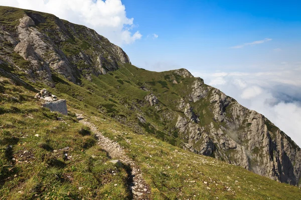 Yol bir dağ yamacında — Stok fotoğraf