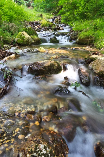 Dağ nehri — Stok fotoğraf