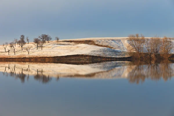 Trees on the lake — Stock Photo, Image