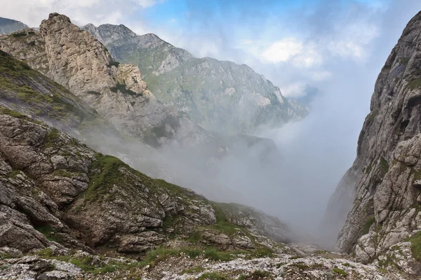 Berget dalen i dimman — Stockfoto