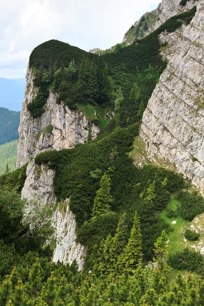 Mountain landscape — Stock Photo, Image