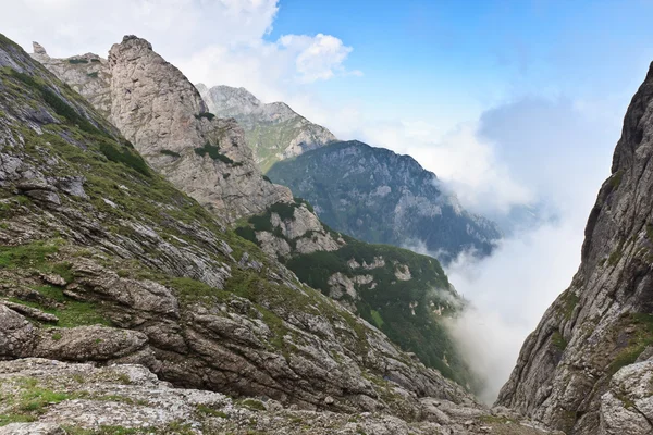 Valle de la montaña en la niebla — Foto de Stock