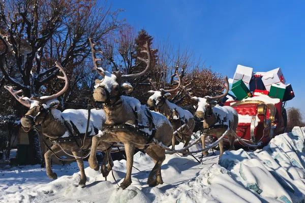 stock image Carriage with reindeer