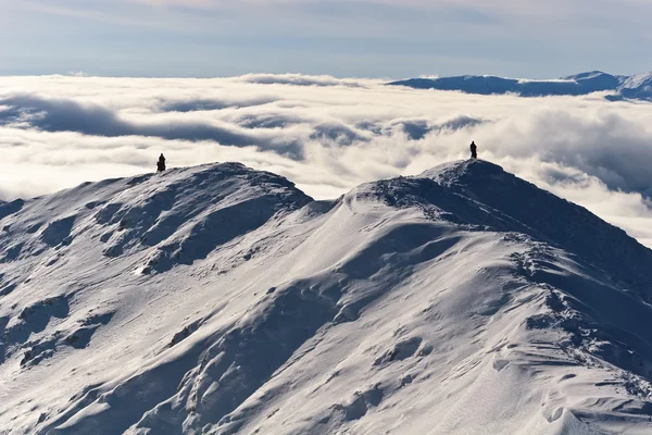 Iki dağcı dağın tepesinde kış — Stok fotoğraf