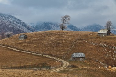 Sonbahar manzarası