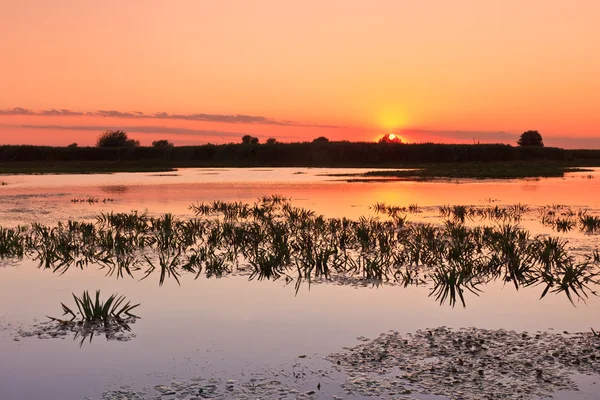 stock image Sunrise in the Danube Delta