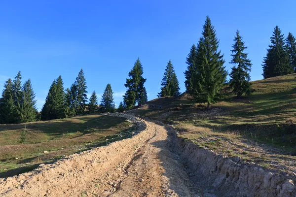 Strada di campagna — Foto Stock