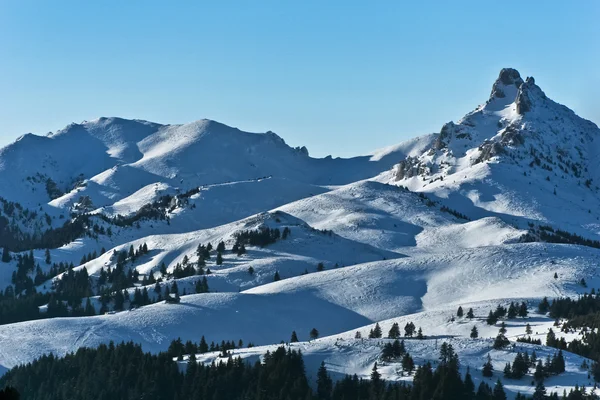Bergets topp på vintern Royaltyfria Stockbilder