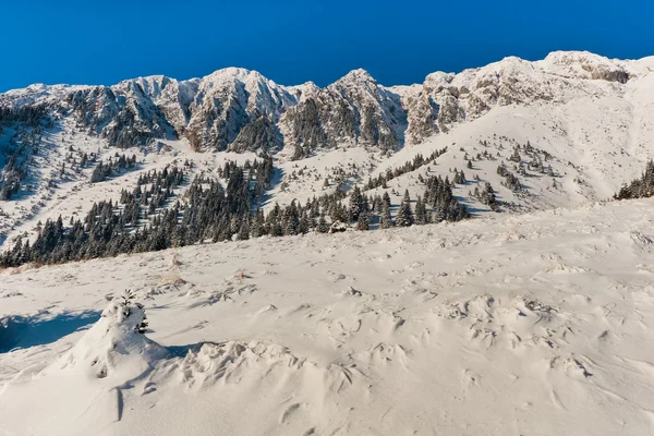 Взимку гірський ландшафт — стокове фото