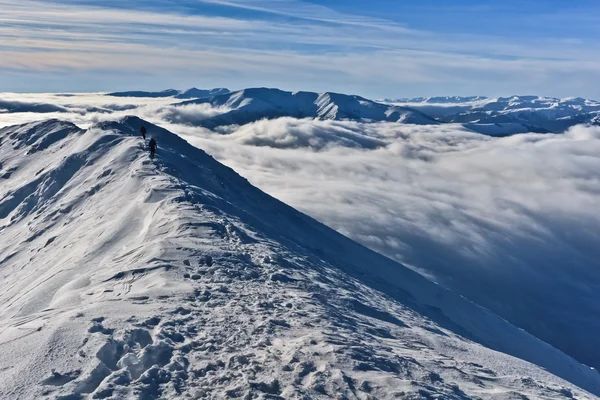 Два альпиниста на вершине горы зимой — стоковое фото