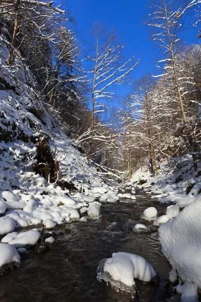 Dağ nehri — Stok fotoğraf