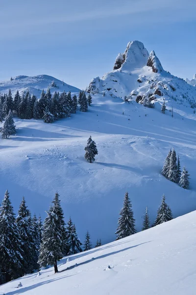 Bergtop in de winter — Stockfoto