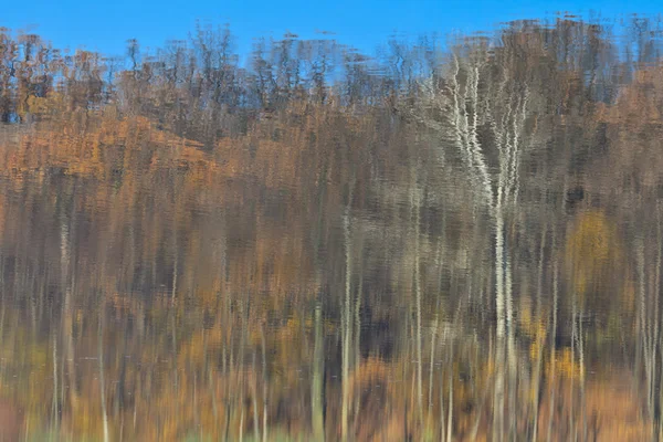 森水 — ストック写真