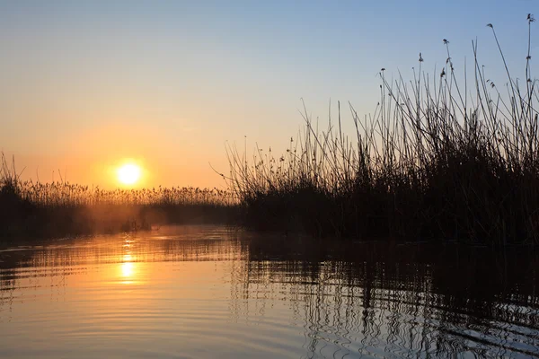 Soluppgången sjön — Stockfoto