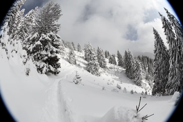 stock image Winter mountain landscape