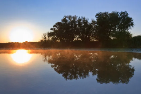Salida del sol en el Delta del Danubio — Foto de Stock