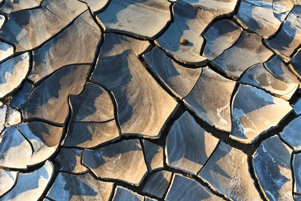 Texture on dry land — Stock Photo, Image
