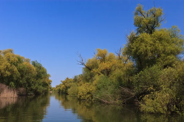 River channel in the Danube Delta — Stock Photo, Image