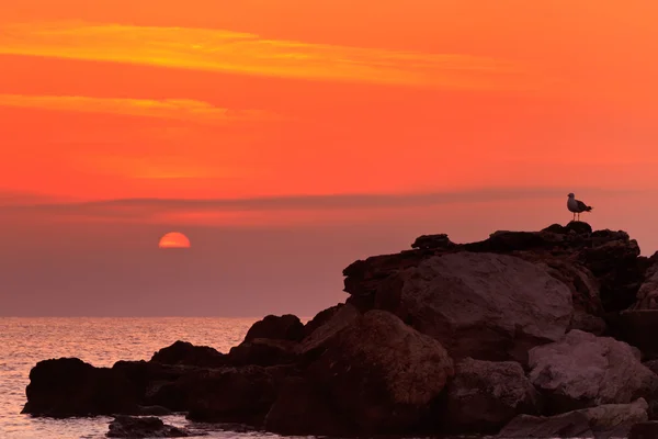 Východ slunce na skalnatém břehu — Stock fotografie