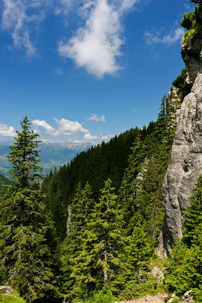 Stok górski — Zdjęcie stockowe