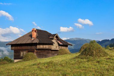 rustik evi