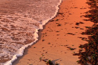 vahşi beach