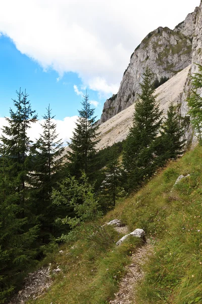 Bergsluttning — Stockfoto