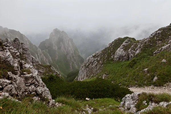 Dağlar ve sis — Stok fotoğraf